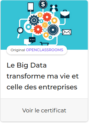 leBigDataTransformeMaVieEtCelleDesEntreprises